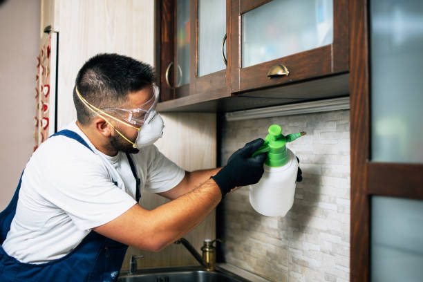 Pest Control for Restaurants in Lavallette, NJ