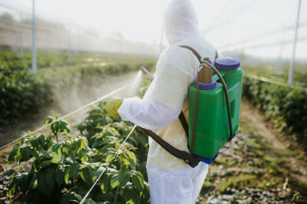  Lavallette, NJ Pest Control Pros